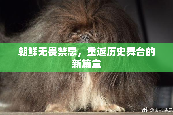 朝鲜无畏禁忌，重返历史舞台的新篇章