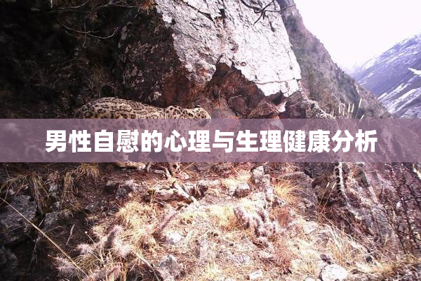 男性自慰的心理与生理健康分析