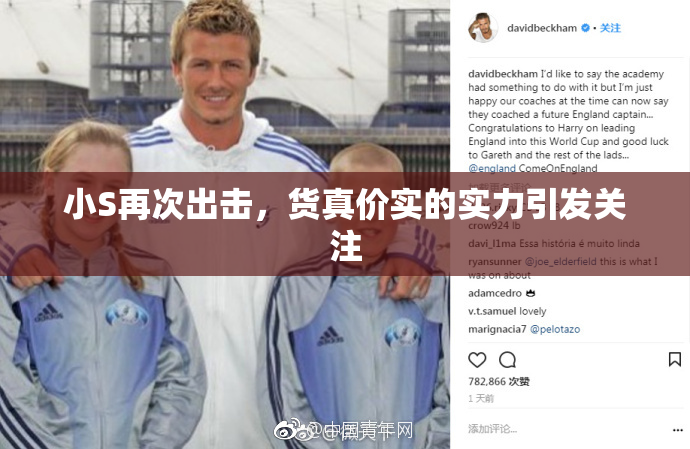 小S再次出击，货真价实的实力引发关注