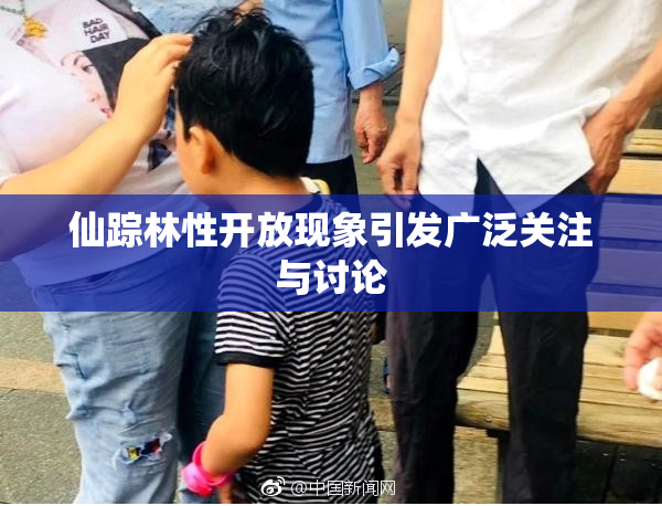 仙踪林性开放现象引发广泛关注与讨论