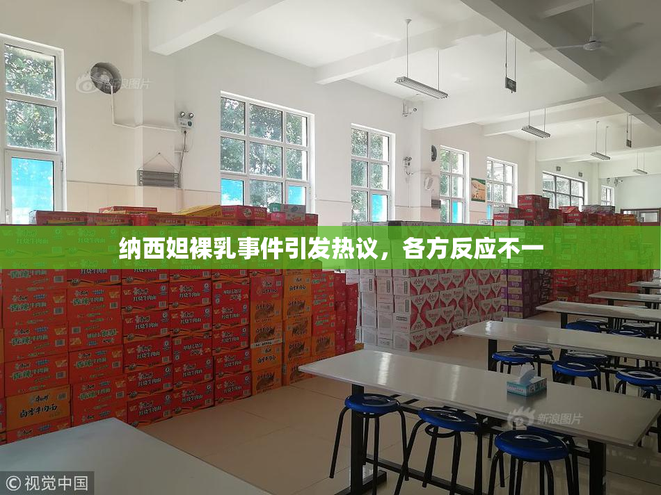 纳西妲裸乳事件引发热议，各方反应不一