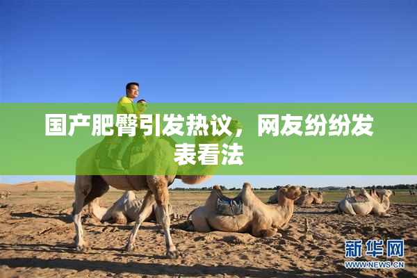 国产肥臀引发热议，网友纷纷发表看法
