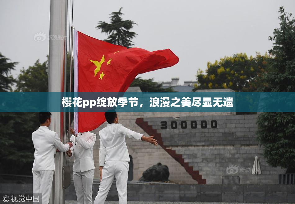 樱花pp绽放季节，浪漫之美尽显无遗
