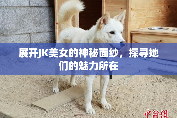 展开JK美女的神秘面纱，探寻她们的魅力所在
