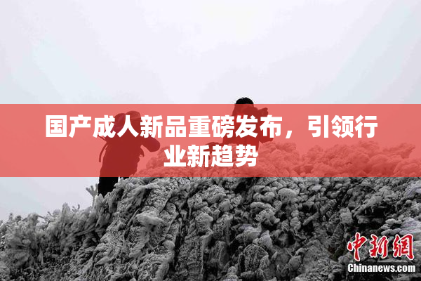 国产成人新品重磅发布，引领行业新趋势
