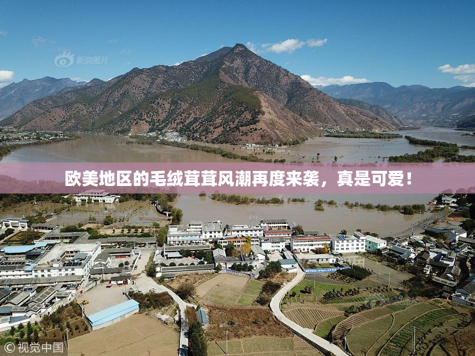 欧美地区的毛绒茸茸风潮再度来袭，真是可爱！