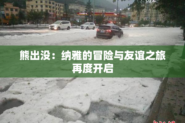熊出没：纳雅的冒险与友谊之旅再度开启