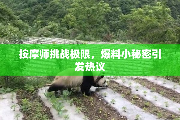 按摩师挑战极限，爆料小秘密引发热议