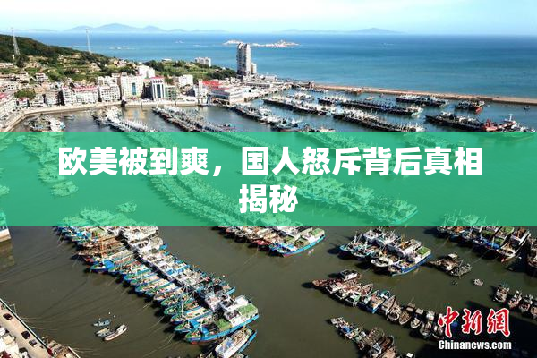 欧美被到爽，国人怒斥背后真相揭秘