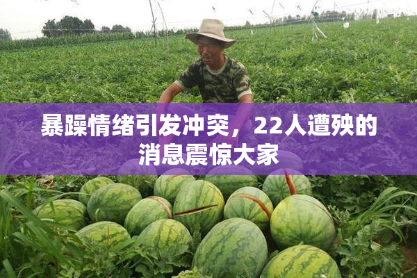 暴躁情绪引发冲突，22人遭殃的消息震惊大家