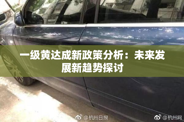 一级黄达成新政策分析：未来发展新趋势探讨