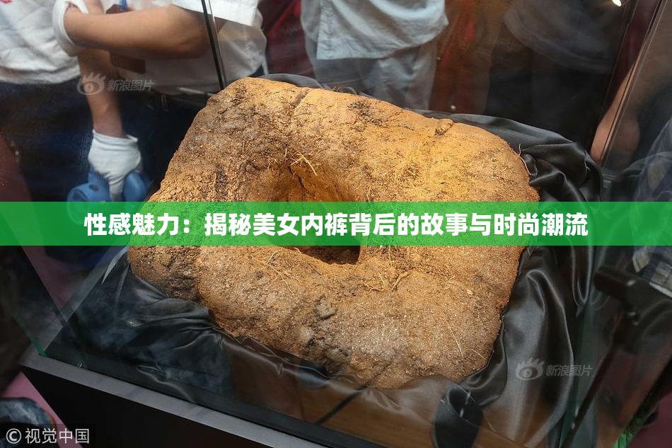 性感魅力：揭秘美女内裤背后的故事与时尚潮流