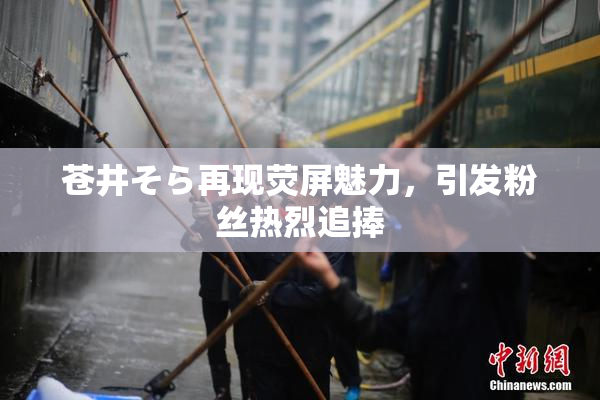 苍井そら再现荧屏魅力，引发粉丝热烈追捧