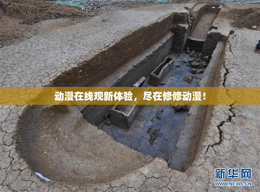 动漫在线观新体验，尽在修修动漫！