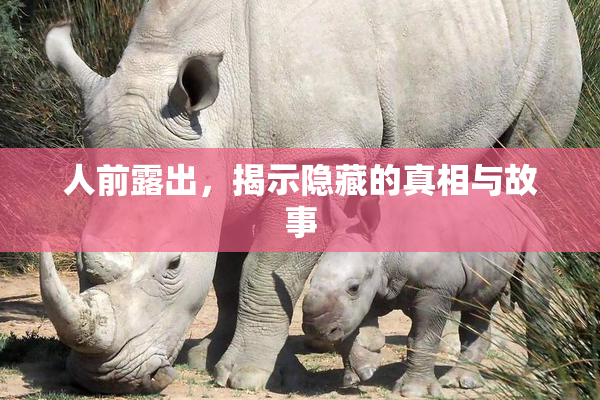 人前露出，揭示隐藏的真相与故事