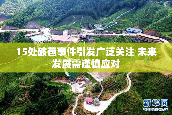 15处破苞事件引发广泛关注 未来发展需谨慎应对