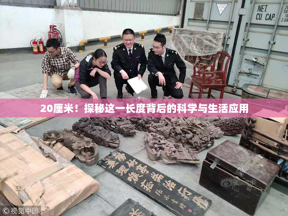 20厘米！探秘这一长度背后的科学与生活应用