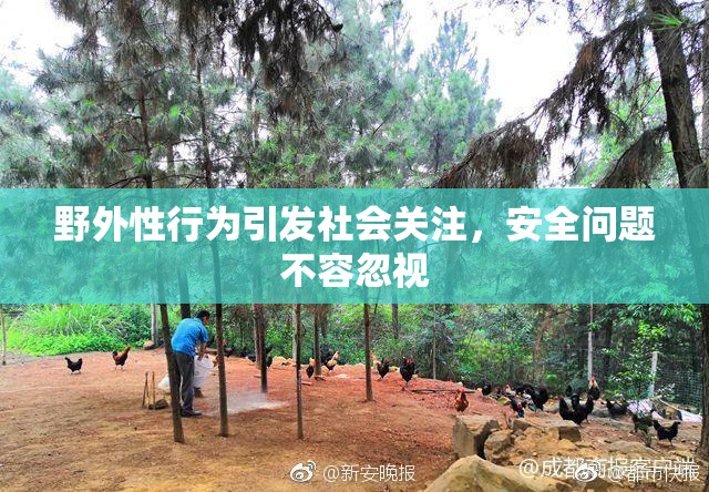 野外性行为引发社会关注，安全问题不容忽视