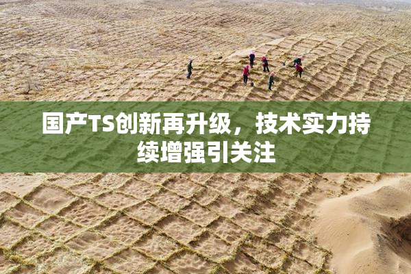 国产TS创新再升级，技术实力持续增强引关注