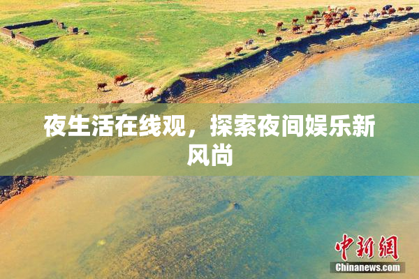 夜生活在线观，探索夜间娱乐新风尚