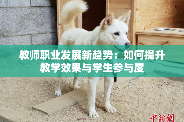 教师职业发展新趋势：如何提升教学效果与学生参与度