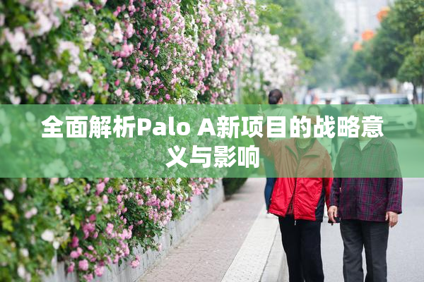 全面解析Palo A新项目的战略意义与影响