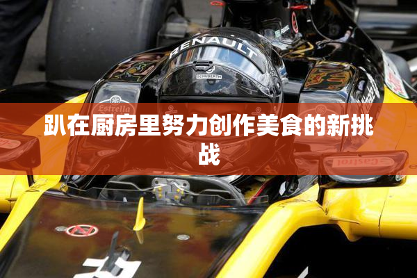 趴在厨房里努力创作美食的新挑战