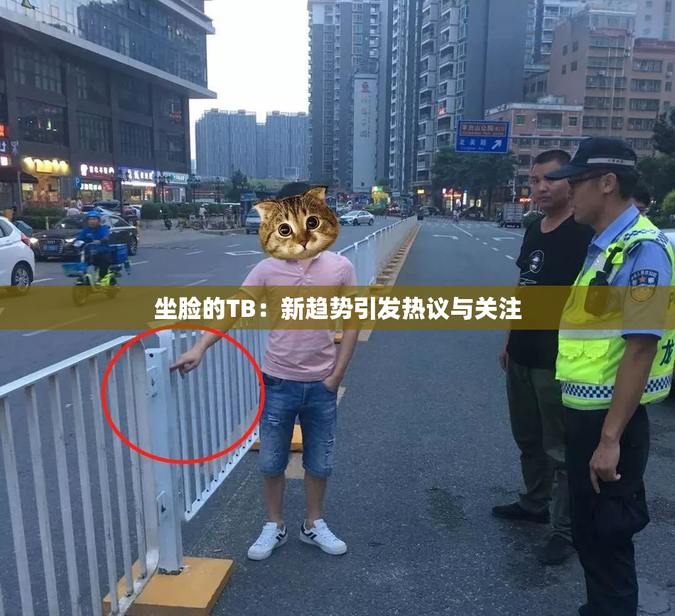 坐脸的TB：新趋势引发热议与关注