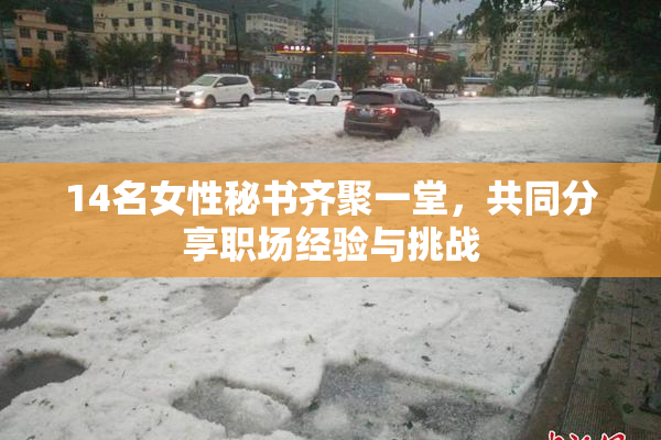 14名女性秘书齐聚一堂，共同分享职场经验与挑战