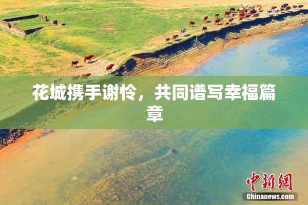 花城携手谢怜，共同谱写幸福篇章