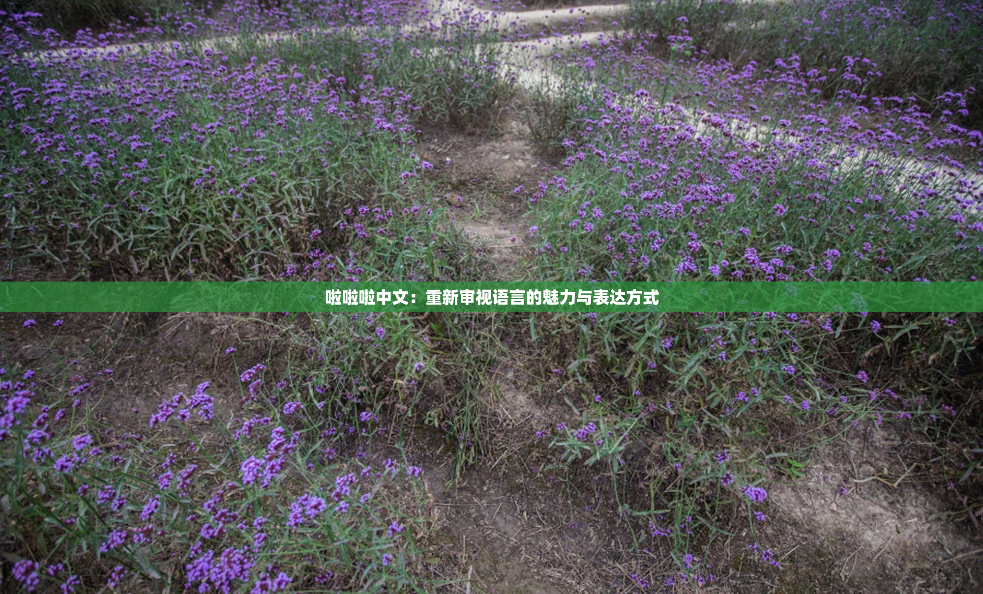 啦啦啦中文：重新审视语言的魅力与表达方式