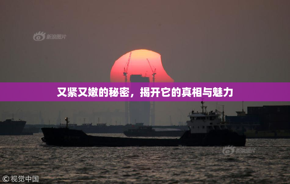 又紧又嫩的秘密，揭开它的真相与魅力