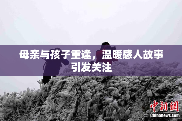 母亲与孩子重逢，温暖感人故事引发关注