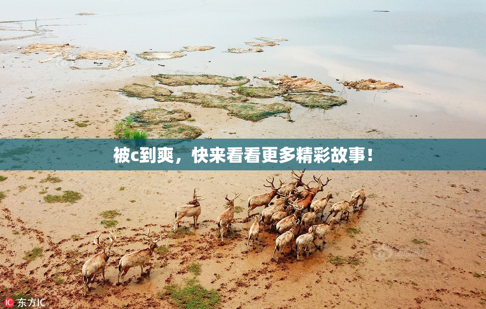 被c到爽，快来看看更多精彩故事！