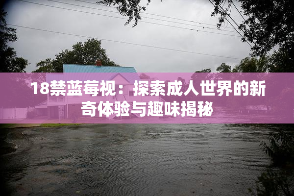 18禁蓝莓视：探索成人世界的新奇体验与趣味揭秘