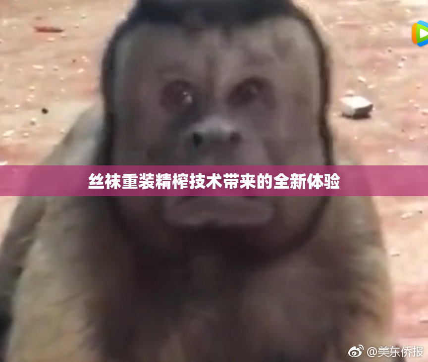 丝袜重装精榨技术带来的全新体验