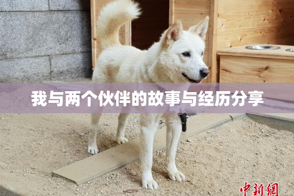 我与两个伙伴的故事与经历分享