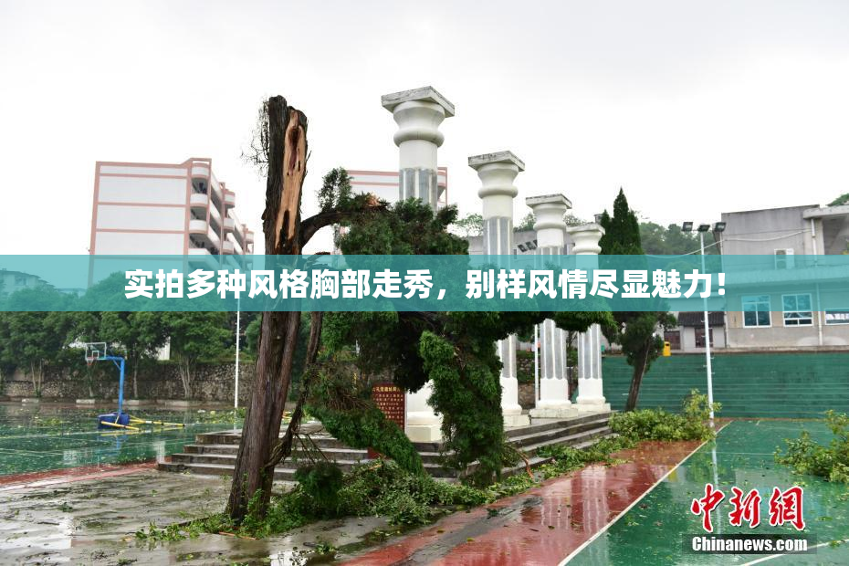 实拍多种风格胸部走秀，别样风情尽显魅力！