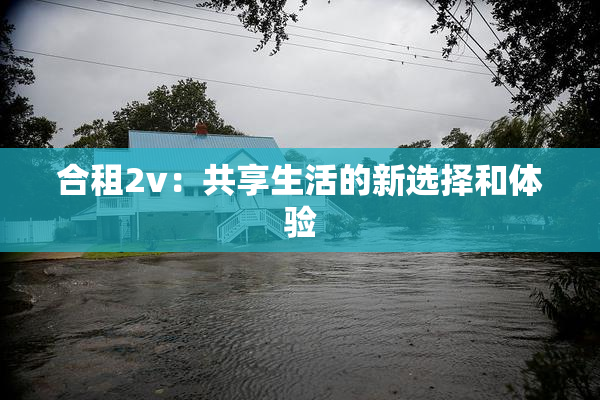 合租2v：共享生活的新选择和体验