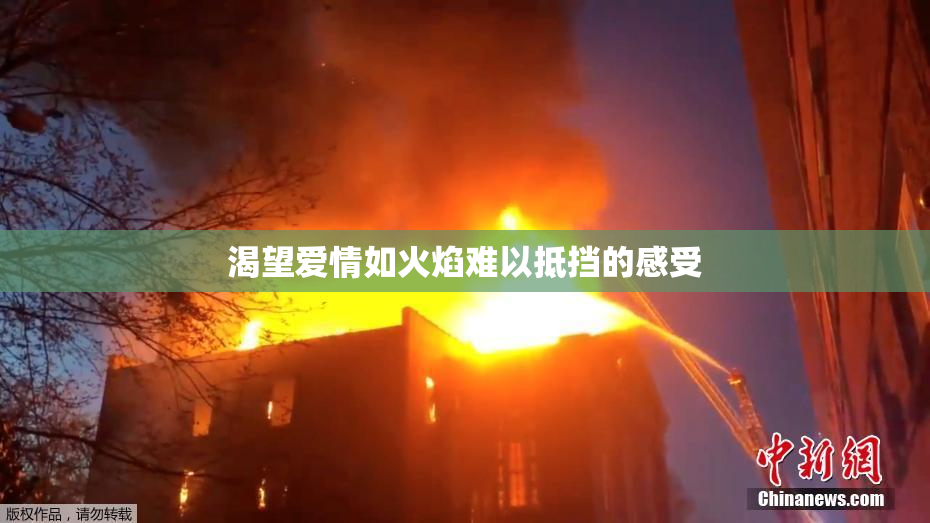渴望爱情如火焰难以抵挡的感受