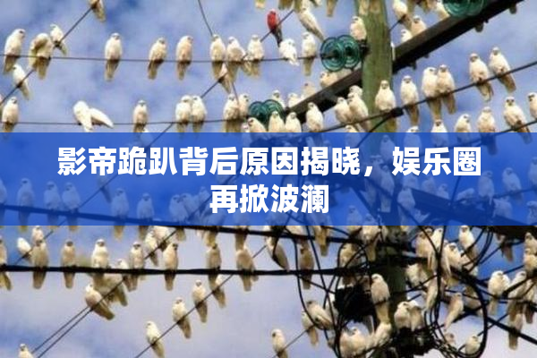 影帝跪趴背后原因揭晓，娱乐圈再掀波澜