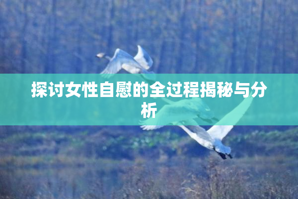 探讨女性自慰的全过程揭秘与分析