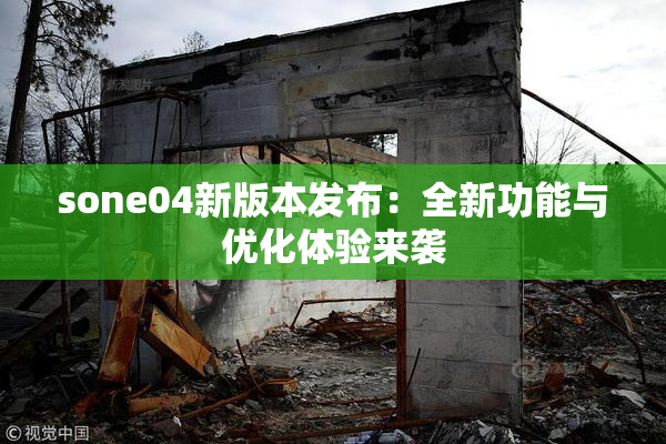 sone04新版本发布：全新功能与优化体验来袭