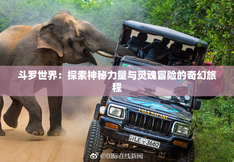 斗罗世界：探索神秘力量与灵魂冒险的奇幻旅程