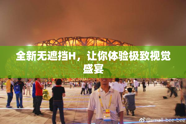 全新无遮挡H，让你体验极致视觉盛宴
