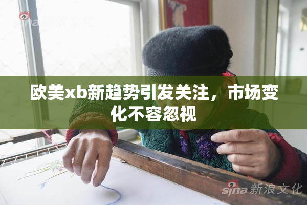 欧美xb新趋势引发关注，市场变化不容忽视