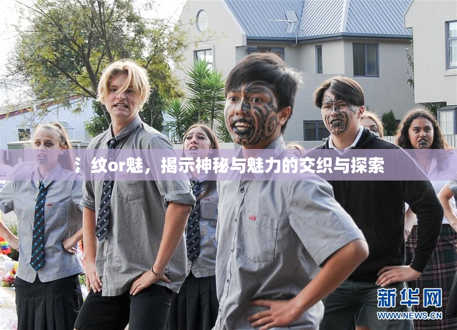 氵纹or魅，揭示神秘与魅力的交织与探索