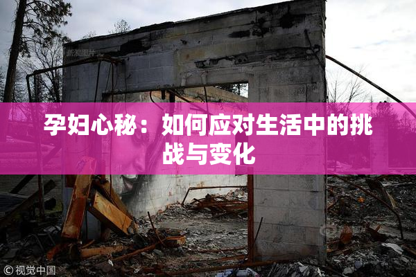 孕妇心秘：如何应对生活中的挑战与变化