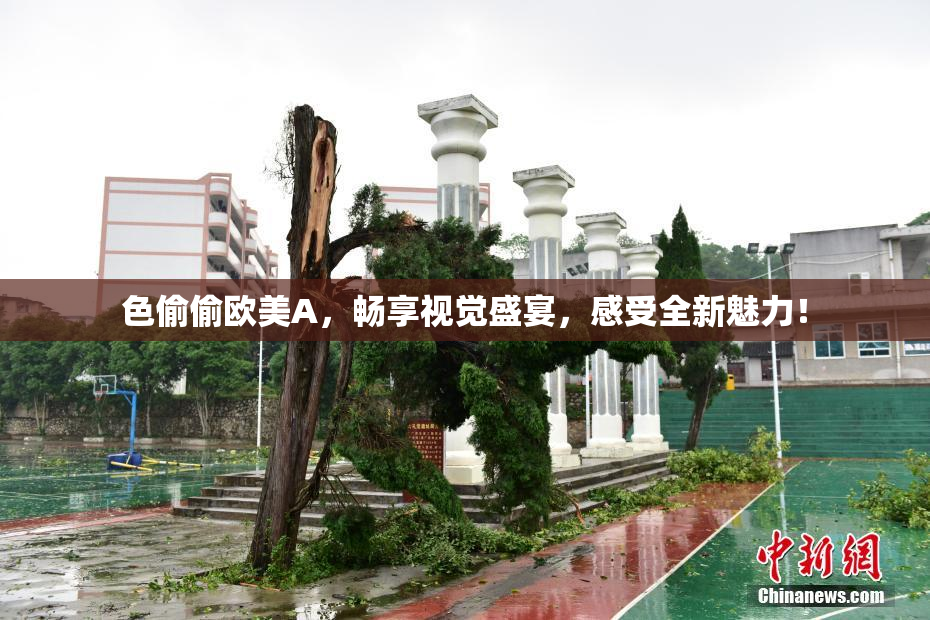 色偷偷欧美A，畅享视觉盛宴，感受全新魅力！