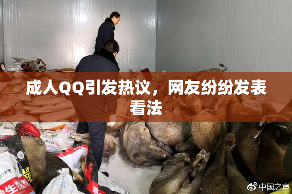 成人QQ引发热议，网友纷纷发表看法